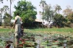 Im Okavango Delta